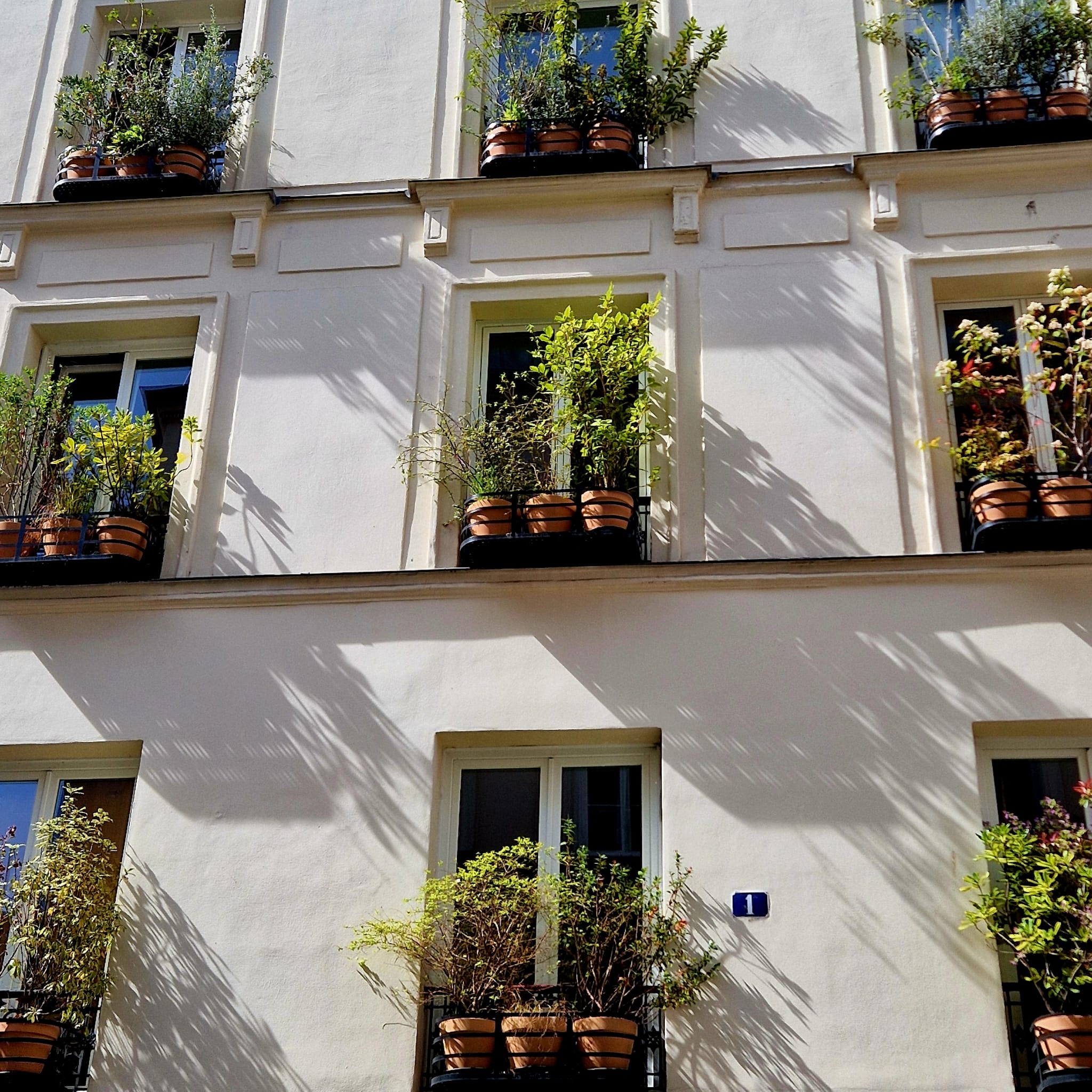 Façade haussmannienne parisienne